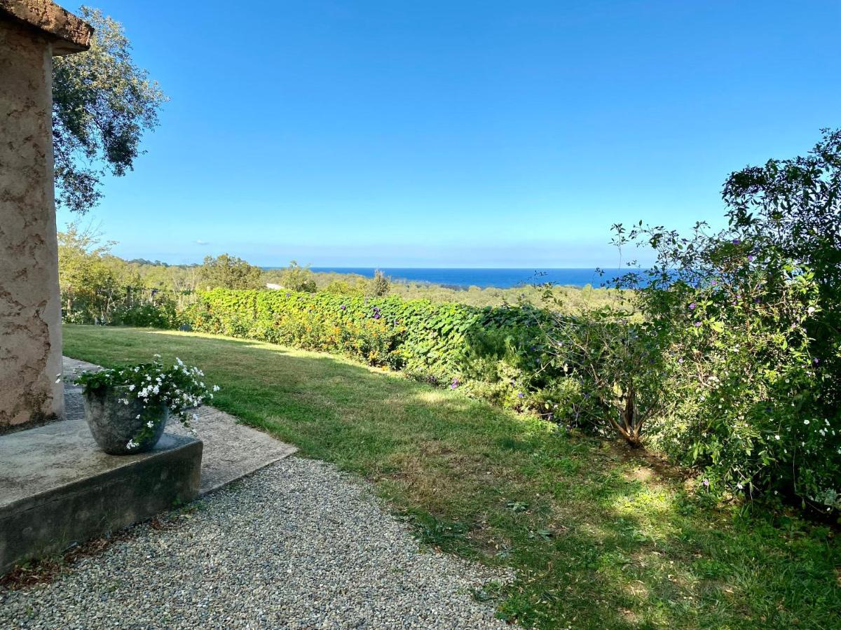 Panorama Maquis Et Mer, à 1,5 Km Cervione
