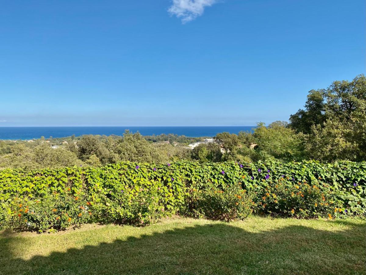 Panorama Maquis Et Mer, à 1,5 Km Cervione