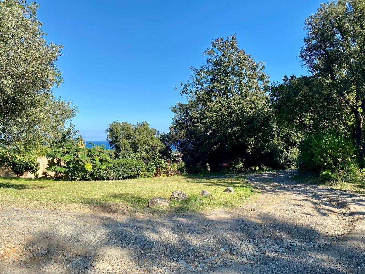 Panorama Maquis Et Mer, à 1,5 Km Hébergement de vacances